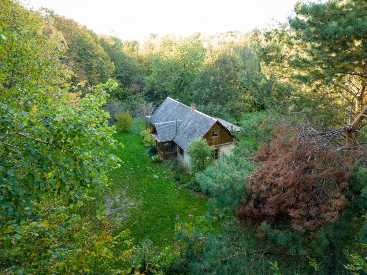 Agroturystyka Siedlisko Wydry - Dom W Srodku Lasu Wierzchoniow Buitenkant foto