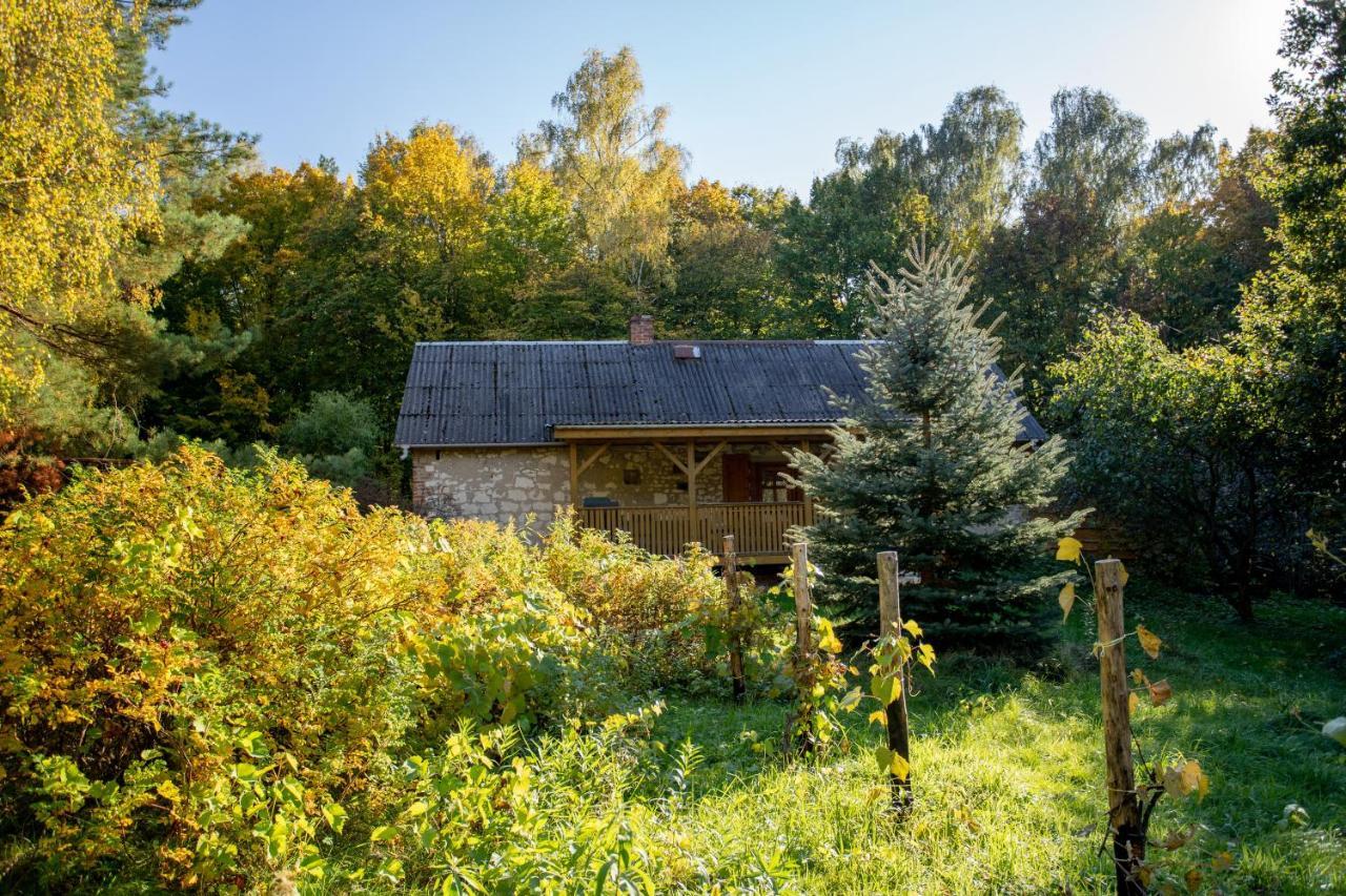 Agroturystyka Siedlisko Wydry - Dom W Srodku Lasu Wierzchoniow Buitenkant foto